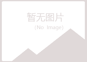 城区盼夏建筑有限公司